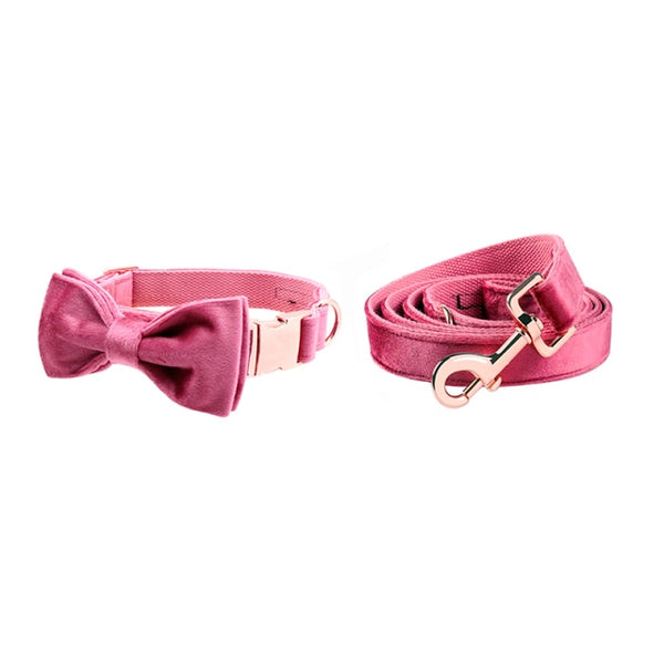 Pink collar shop with bow