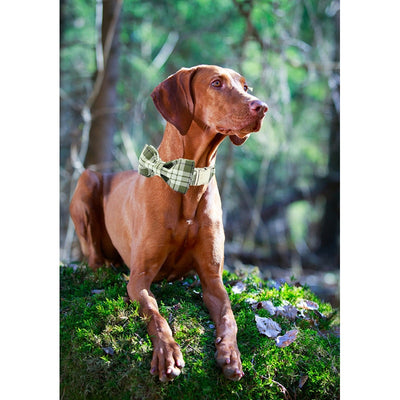 PURfect Plaid Green