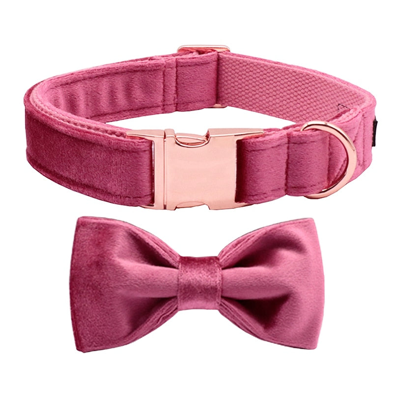 Collars with bows best sale