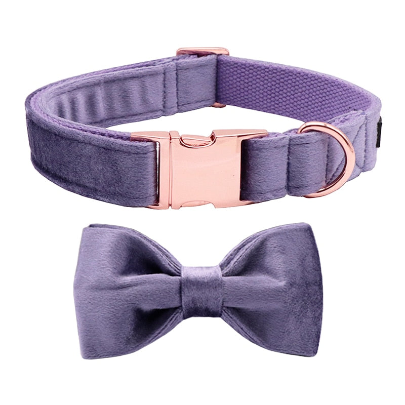 Blue velvet best sale dog collar