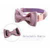 Puparazzi Light Purple Soft Velvet Collar with Bow tie