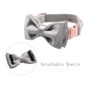 Puparazzi Silver Grey Soft Velvet Collar with Bow tie