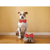 SOFT SILK COLLECTION RED COLLAR BOWTIE & LEASH