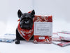 Ocean Woofles & Mandarian Woofles Bandanas 2/pk